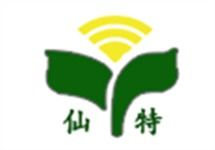 原创 中国网