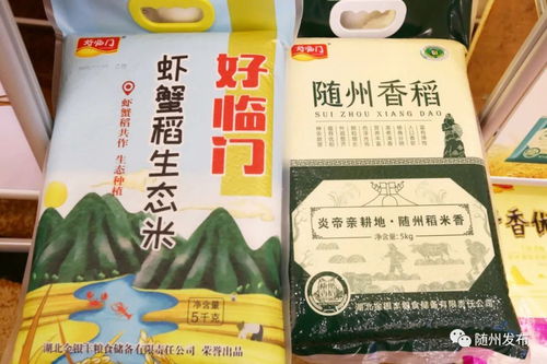 专家品鉴 随州香稻 好看好吃浓香