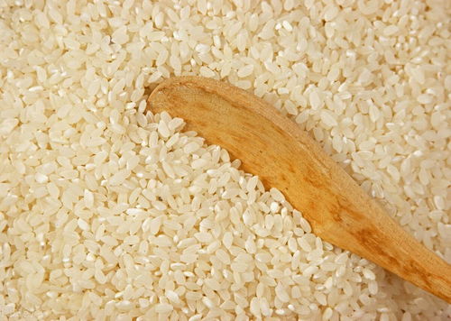 2021年胚芽米 糙米 精白米详细对比,新鲜胚芽米已出炉