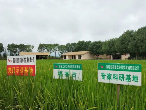 基层动态 福建省龙岩市喜浪米业党支部 不忘初心 守住 粮心