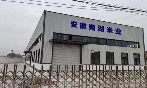 淮北市杜集区朔里镇 三点发力 破解村级集体经济 致富密码
