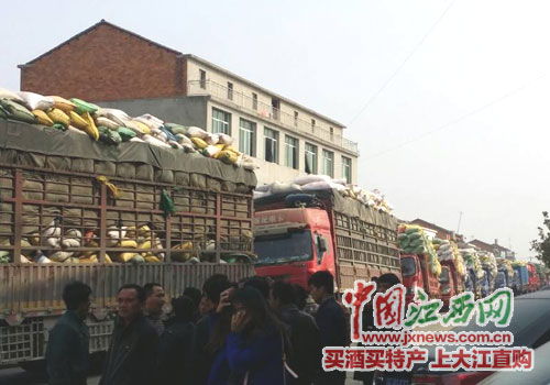 南昌县一米业老板 失联 几十名供货商上门讨货款