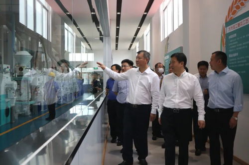 专注一碗好饭,总台 品牌强国工程 入选企业鲁花万年米业正式投产