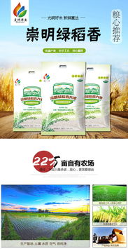 光明米业 崇明绿稻香大米 真空