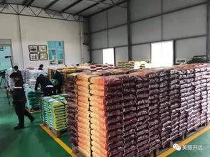 助农增收,红河卧龙米业出新招啦